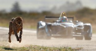 Formula E car vs cheetah