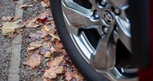 Toyota-RAV4-autumn-leaves