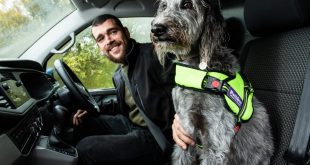 Van-driver-with-his-dog